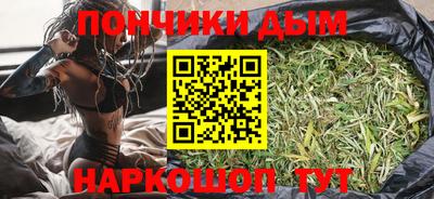 индика Тулун