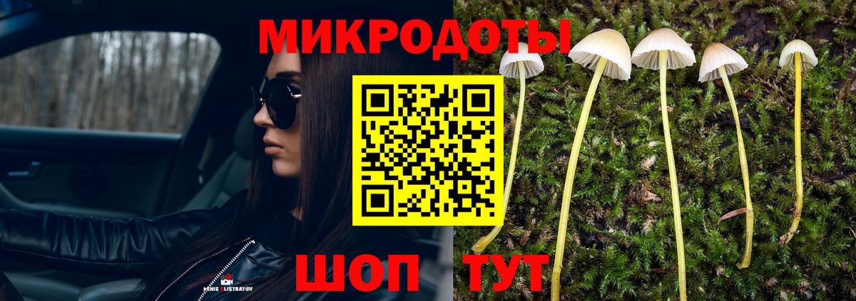 Псилоцибиновые грибы мицелий Тверь