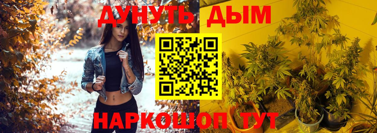 Шишки марихуана White Widow Тверь